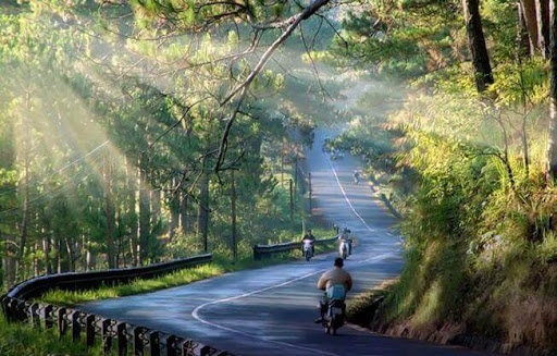 Từ Nha Trang đến Đà Lạt bạn phải bắt xe khách để đến