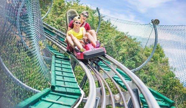 Vé VinWonders Nha Trang gói tiêu chuẩn + Cáp treo khứ hồi 11 8