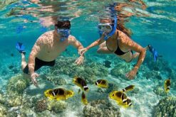 Tour 3 Đảo VIP Nha Trang (Hòn Mun/ Vịnh San Hô - Làng Chài - Hòn Tằm)