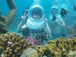 tour-du-ngoan-duoi-day-bien-nha-trang-3