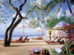 BALI 11
