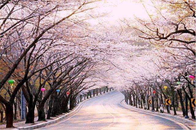 Seoul