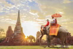 tour thai lan 5n4d 11