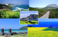 Alternative view of Tour Jeju Hàn Quốc 4N3Đ khởi hành từ Nha Trang