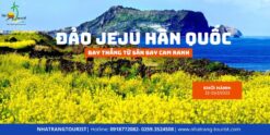 Tour Jeju Hàn Quốc khởi hành từ Nha Trang