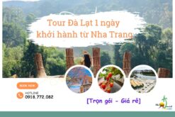 Tour Đà Lạt 1 ngày khởi hành từ Nha Trang [Trọn gói - Giá rẻ]