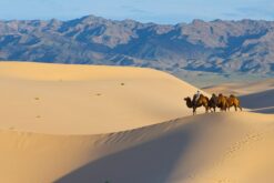 tour mong co nhatrangtourist 4