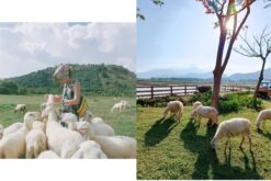 tour ninh thuan 1 ngay 2