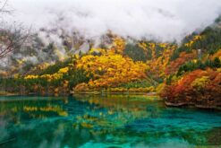 Tour Thành Đô - Cửu Trại Câu 6N5Đ bay thẳng từ Cam Ranh