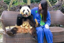 tour thanh do cuu trai cau 5n4d nhatrangtourist 6
