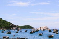 tour da nang hoi an 4n4d tau lua 8