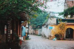 du lich ha noi ha long ninh binh 11