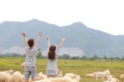 tour binh hung binh lap 3n2d 6