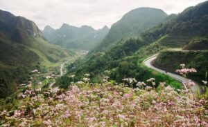 Tour Hà Giang - Thác Bản Giốc - Hồ Ba Bể - Hà Nội 5N4Đ