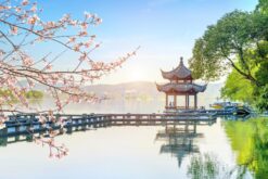 tour thuong hai hang chau o tran 6n5d 4