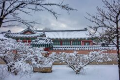 tour bac kinh thien tan 7n6d 11