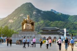 tour han quoc mua xuan tu cam ranh 10