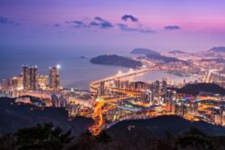 tour han quoc mua xuan tu cam ranh 2