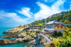 tour han quoc mua xuan tu cam ranh 3