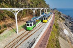 tour han quoc mua xuan tu cam ranh 4