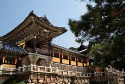 tour han quoc mua xuan tu cam ranh 5