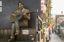 tour han quoc mua xuan tu cam ranh 7