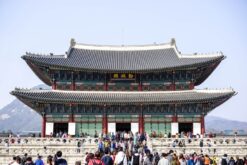 tour han quoc mua xuan tu cam ranh 8