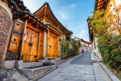 tour han quoc mua xuan tu cam ranh 9
