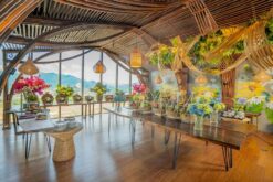 the signature hotel nha trang 1
