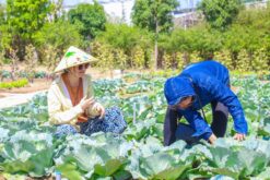tour spa goi dau an trua tai memento nha trang 6