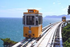 kham pha busan 4n4d 6