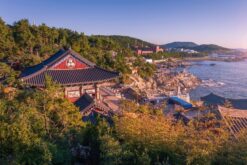 tour han quoc busan daegu 11