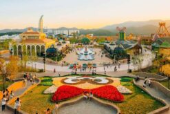 tour han quoc busan daegu 12