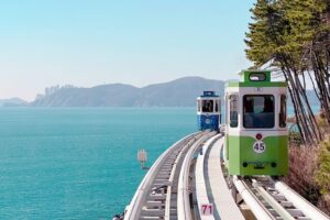 tour han quoc busan daegu 13