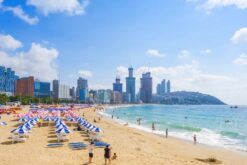 tour han quoc busan daegu 15