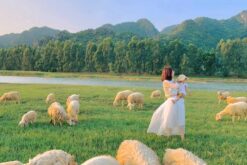 tour 3n2d 3 dao vinh vinh hy 5