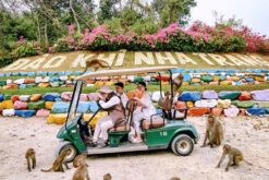 tour 3n2d city tour vinh nha phu 2