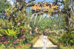 tour 3n2d city tour vinh nha phu 3