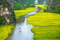 tour ha noi ninh binh ha long 4n3d 5