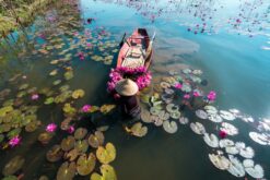 tour ha noi ninh binh ha long 4n3d 8