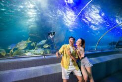 tour 3n2d du thuyen ngam hoang hon vinwonders hang rai 4