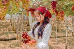 tour 3n2d kong forest vinwonders hang rai vinh hy 8