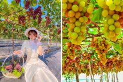 tour vinh hy 1 ngay tu nha trang 2
