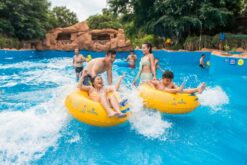 tour nha trang 4n3d du thuyen vinwonders 11