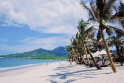 nha trang 4n3d kong forest diep son hon tam city tour 1 4