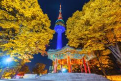 Tour Hàn Quốc mùa thu 5N4Đ: Seoul - Nami - DMZ - Incheon khởi hành từ Cam Ranh
