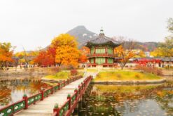 tour han quoc mua thu 5n4d 5