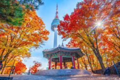 tour han quoc mua thu 5n4d 6