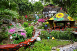 ve tam bun tram trung vip1 4
