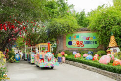ve tam bun tram trung vip1 5